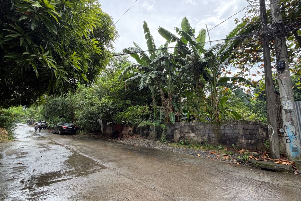Land for Sale in Western Bicutan, Taguig, Metro Manila – photo 3