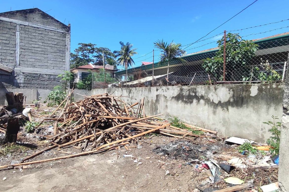 Land for Sale in Wilfredo Aquino, Davao City, Davao del Sur – photo 4
