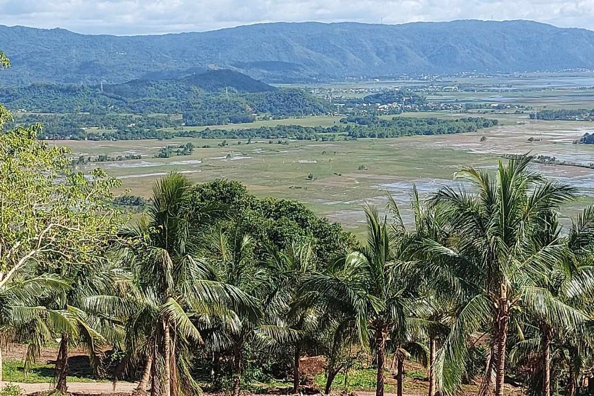 Land for Sale in Woodridge Residential Estates, Paagahan, Mabitac, Laguna