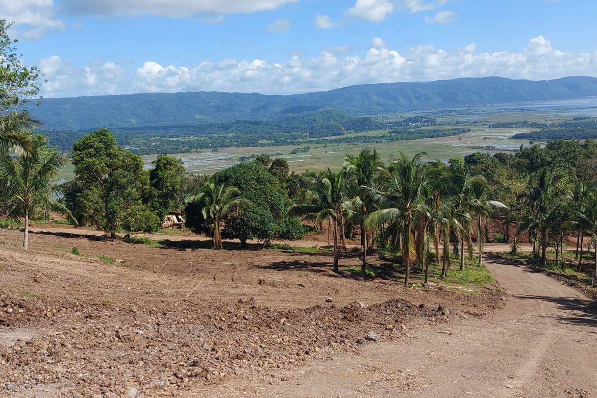 Land for Sale in Woodridge Residential Estates, Paagahan, Mabitac, Laguna – photo 3
