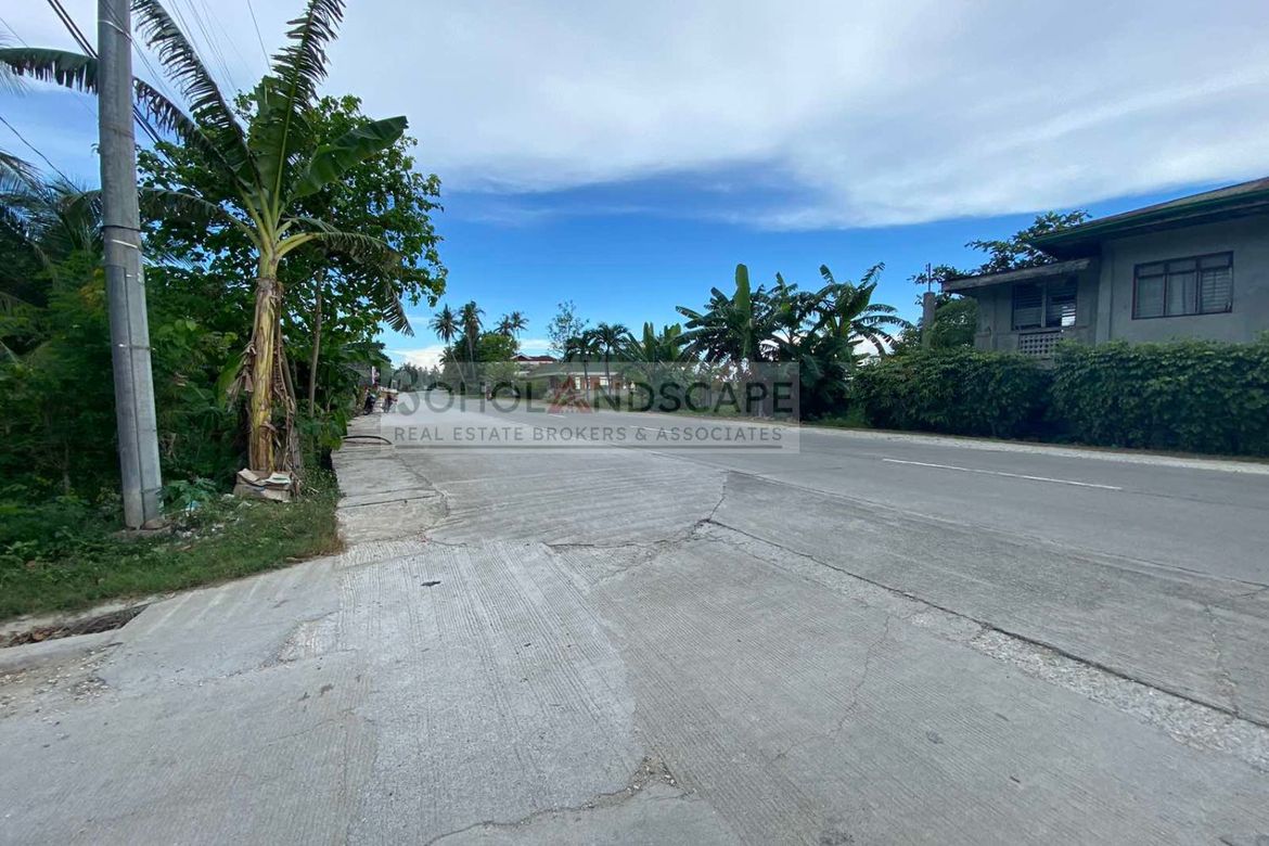 Land for Sale in Yanangan, Loay, Bohol – photo 4