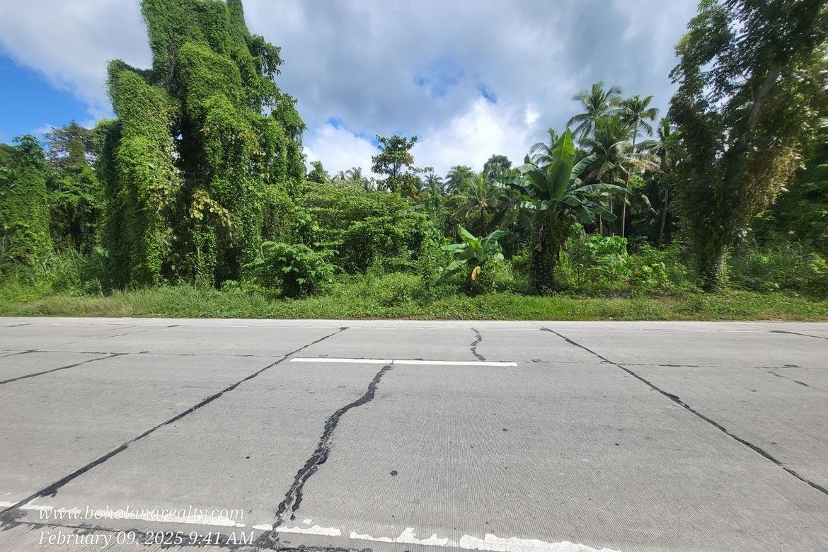 Land for Sale in Yanangan, Loay, Bohol