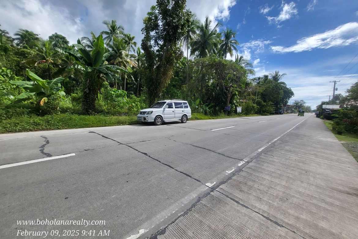 Land for Sale in Yanangan, Loay, Bohol – photo 3