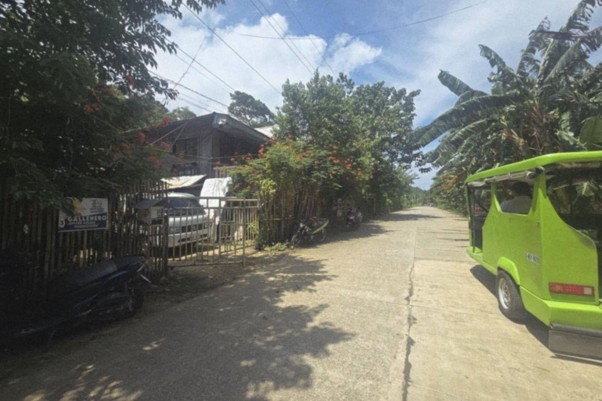Land for Sale in Yapak, Malay, Aklan – photo 5