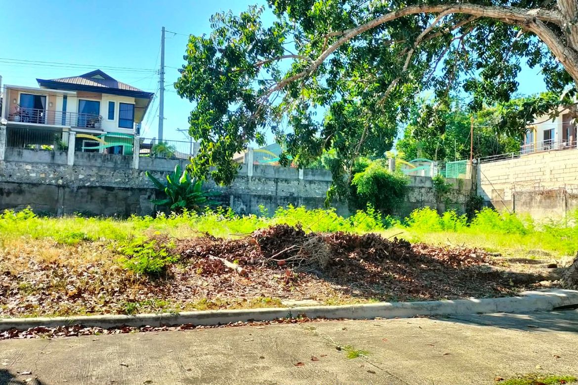 Land for Sale in Yati, Liloan, Cebu – photo 3