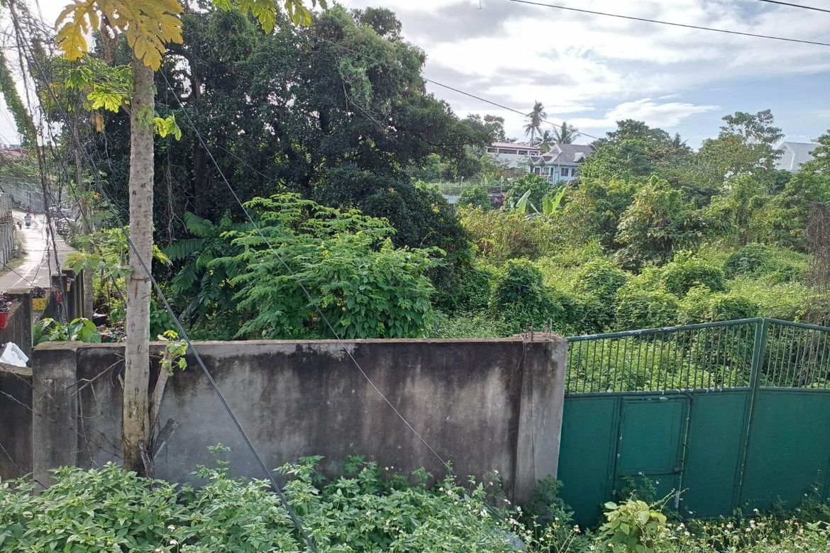 Land for Sale in Yati, Liloan, Cebu – photo 3