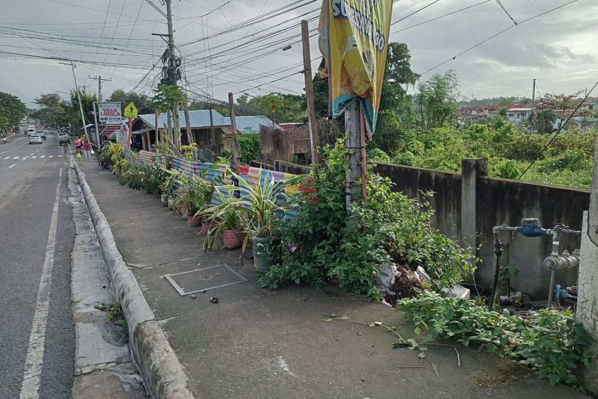 Land for Sale in Yati, Liloan, Cebu – photo 5