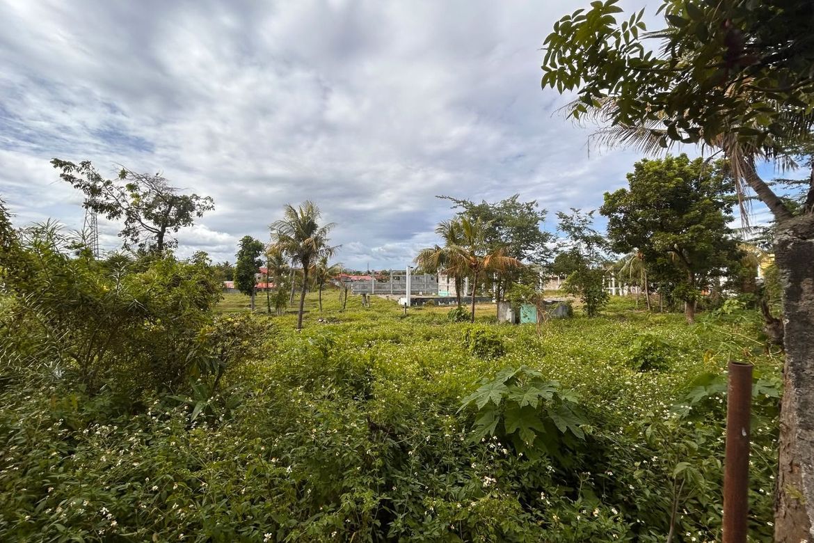 Land for Sale in Yati, Liloan, Cebu – photo 6
