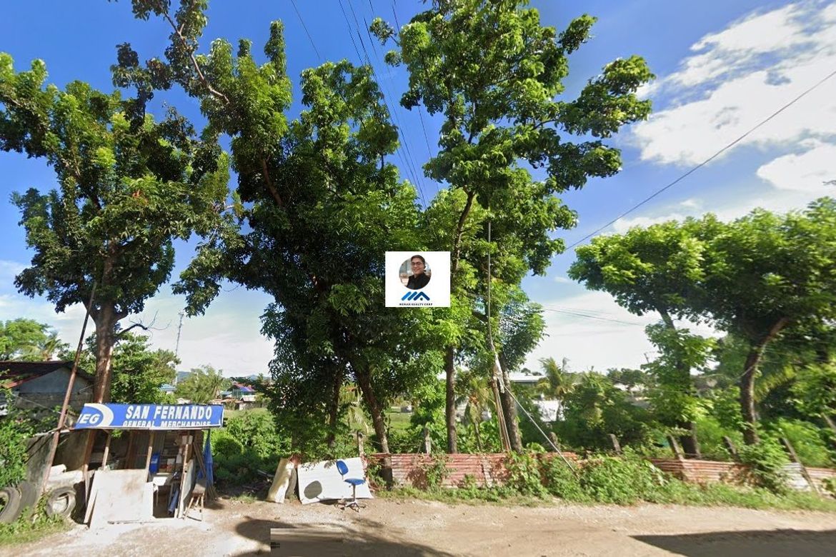 Land for Sale in Yati, Liloan, Cebu – photo 7