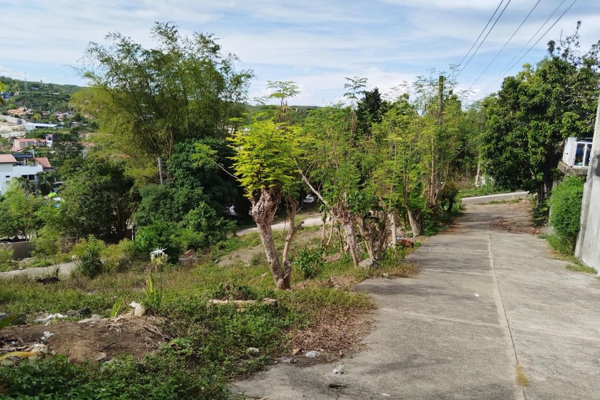 Land for Sale in Yati, Liloan, Cebu