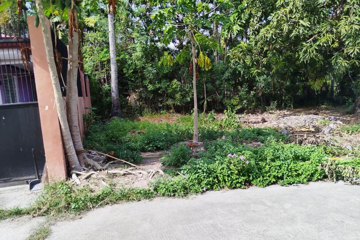 Land for Sale in Yati, Liloan, Cebu – photo 4