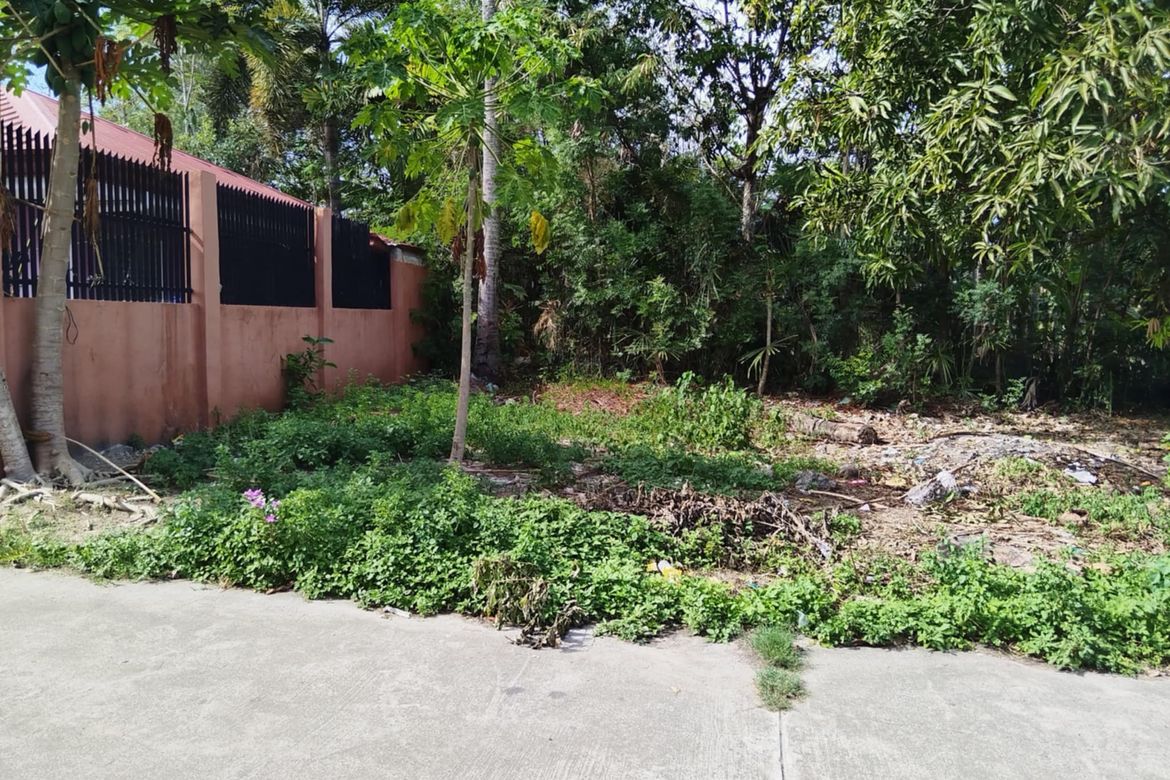 Land for Sale in Yati, Liloan, Cebu – photo 6