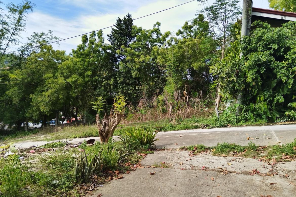 Land for Sale in Yati, Liloan, Cebu – photo 8
