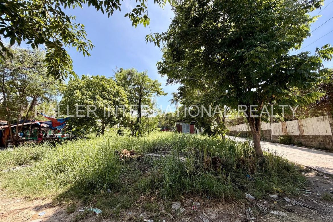 Land for Sale in Yati, Liloan, Cebu – photo 7