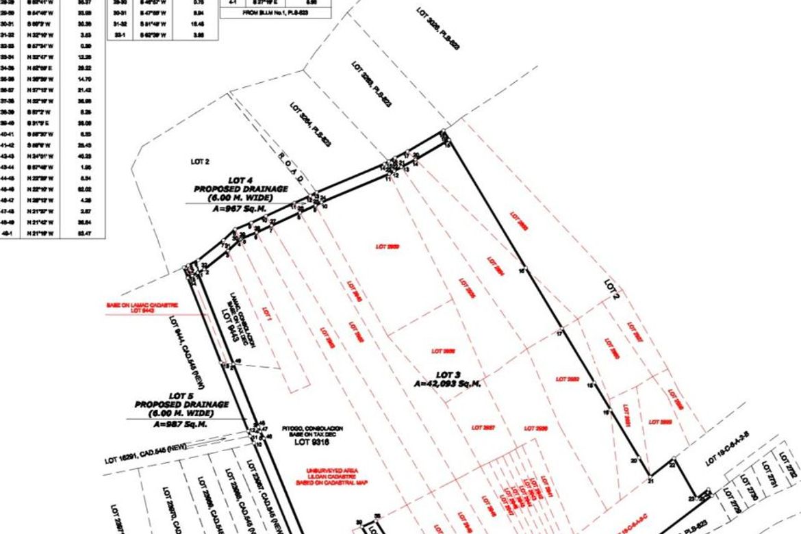 Land for Sale in Yati, Liloan, Cebu – photo 5