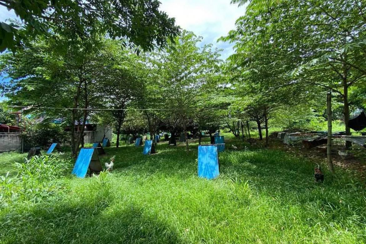 Land for Sale in Yati, Liloan, Cebu – photo 4