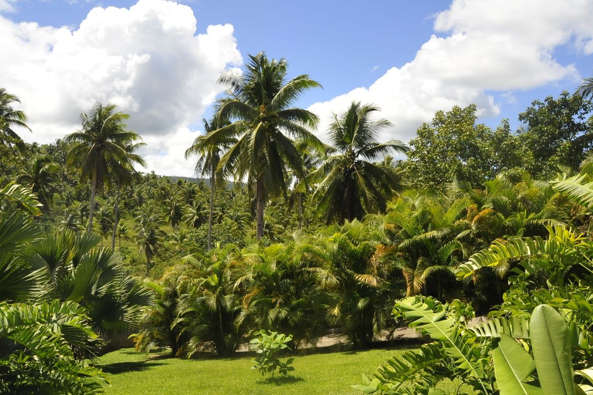 Land for Sale in Zacarito, Baybay, Leyte – photo 3