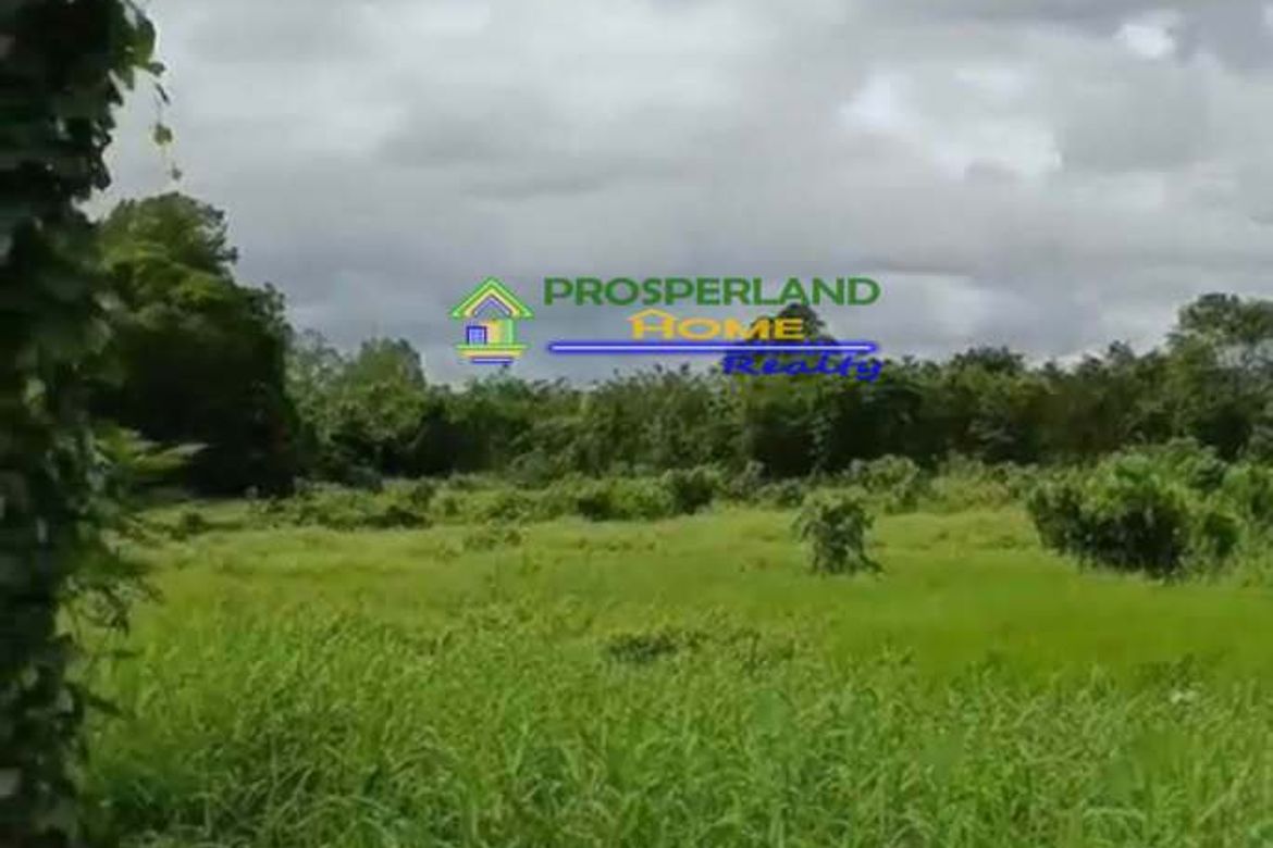 Land for Sale in Zapote, Biñan, Laguna