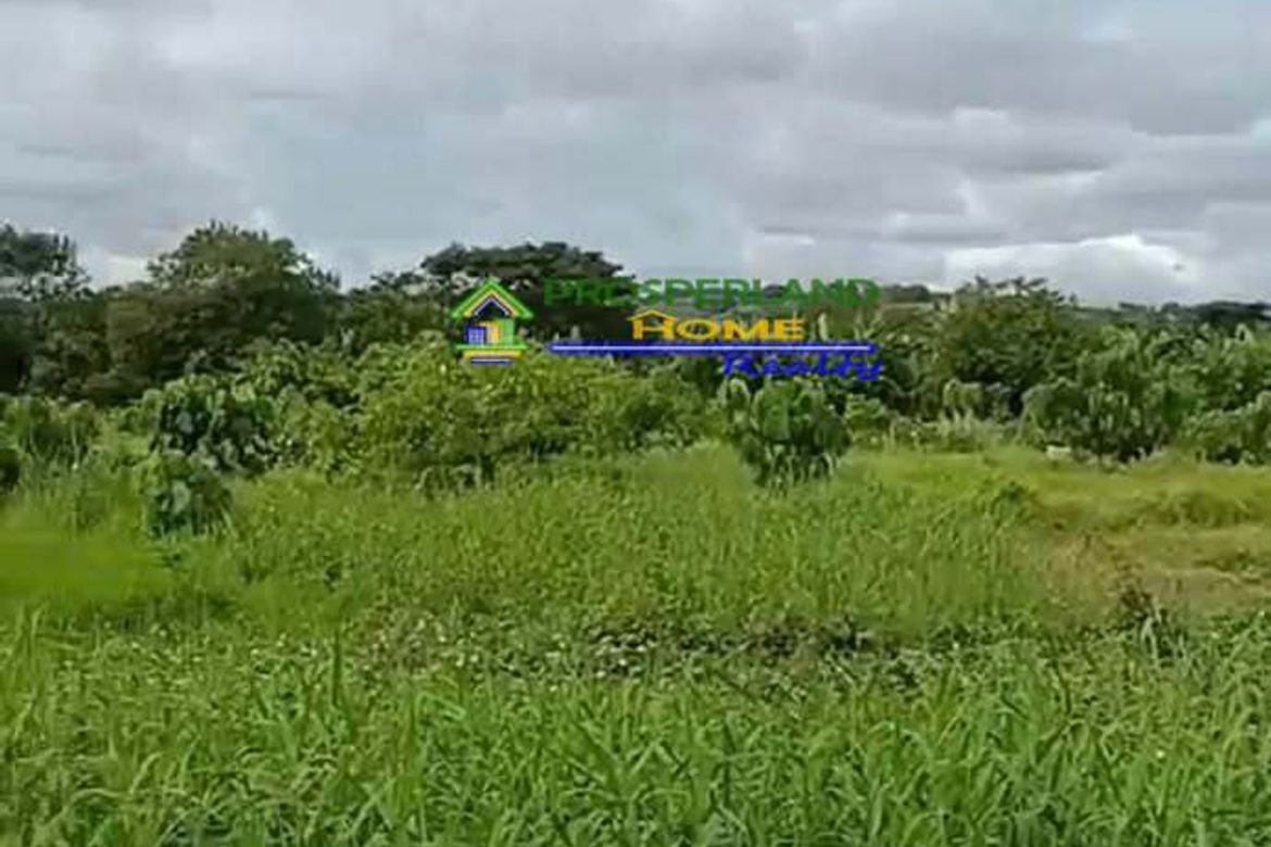 Land for Sale in Zapote, Biñan, Laguna – photo 4