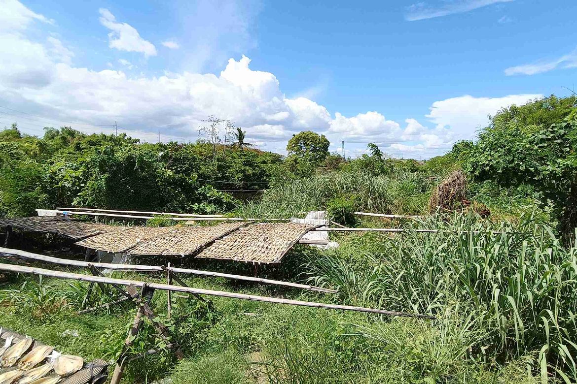 Land for Sale in Zapote, Las Piñas, Metro Manila