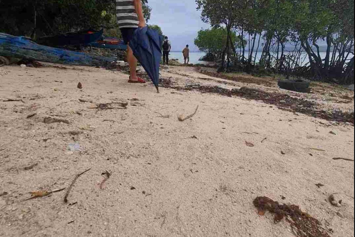 Land for Sale in Zaragosa, Badian, Cebu – photo 7