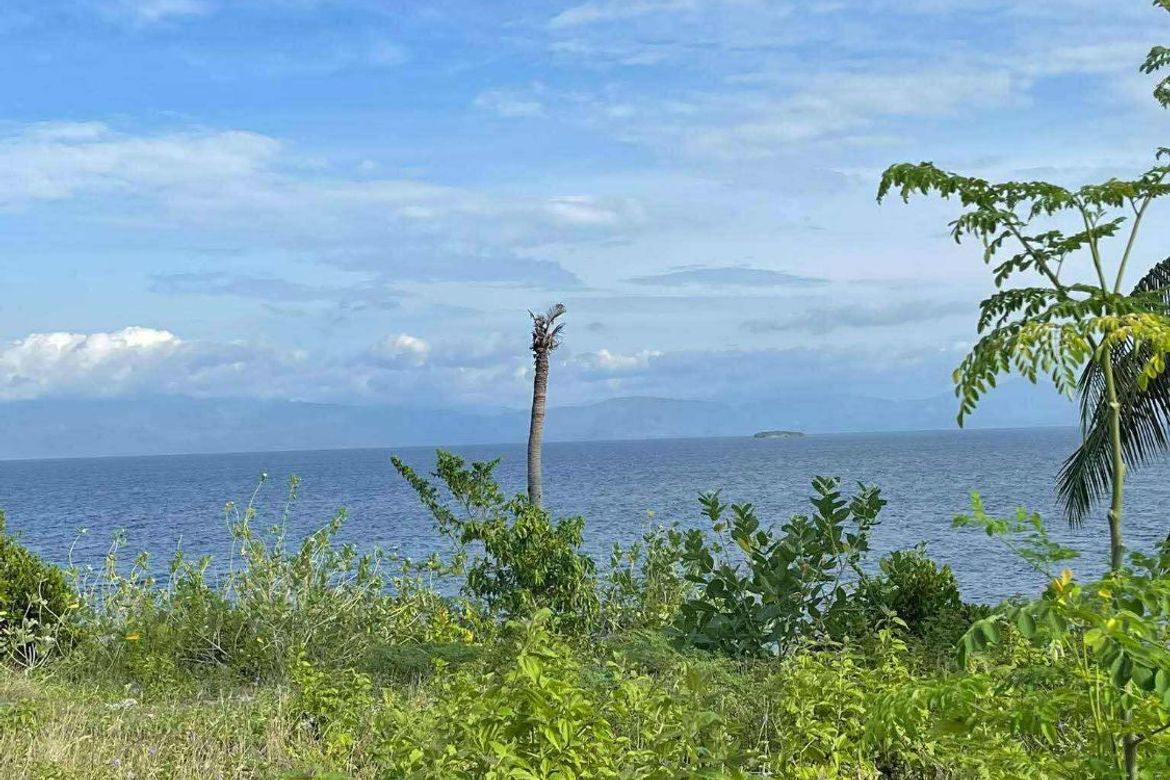 Land for Sale in Zaragosa, Badian, Cebu