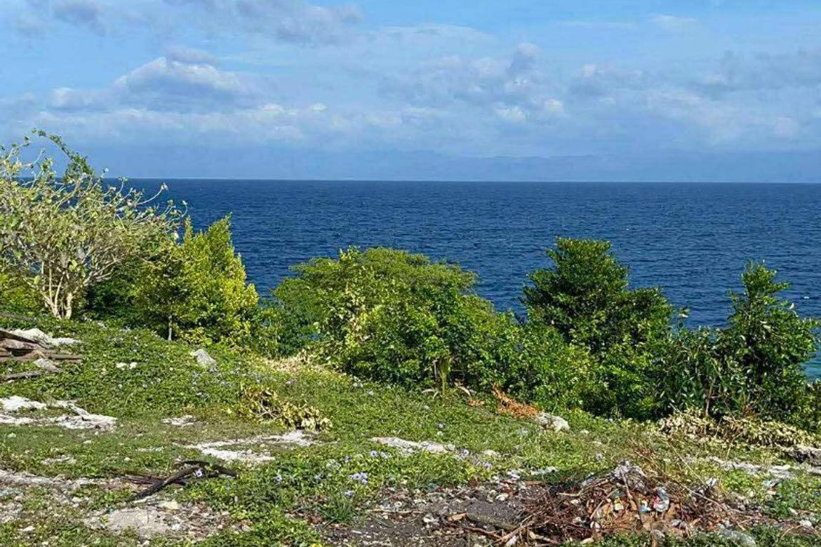 Land for Sale in Zaragosa, Badian, Cebu – photo 2