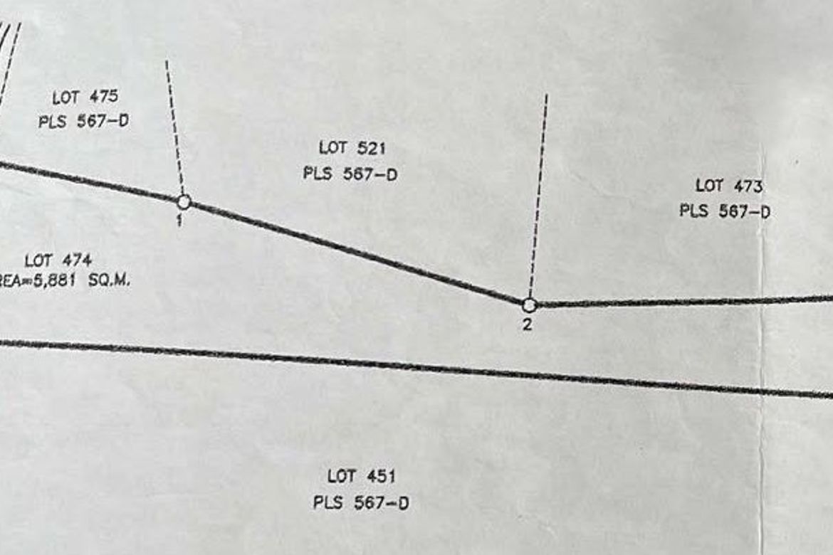Land for Sale in Zaragosa, Badian, Cebu – photo 5
