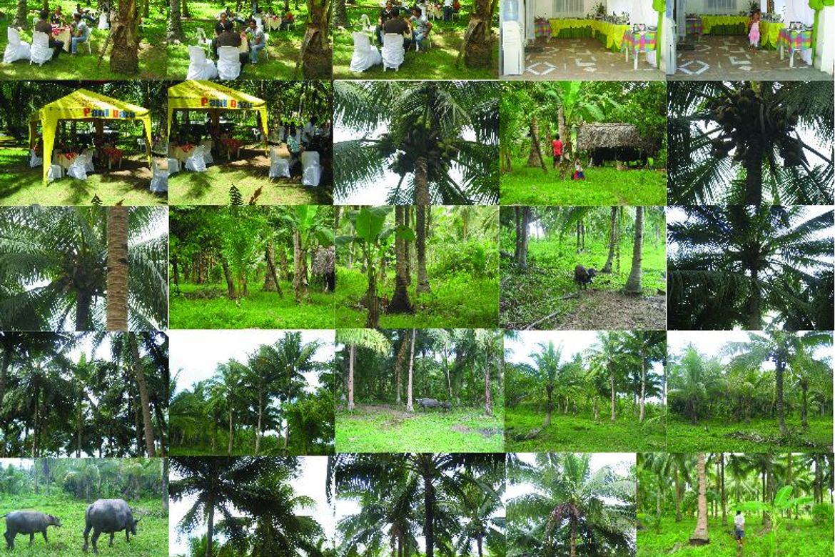 Land for Sale in Zone 1, San Roque, Northern Samar