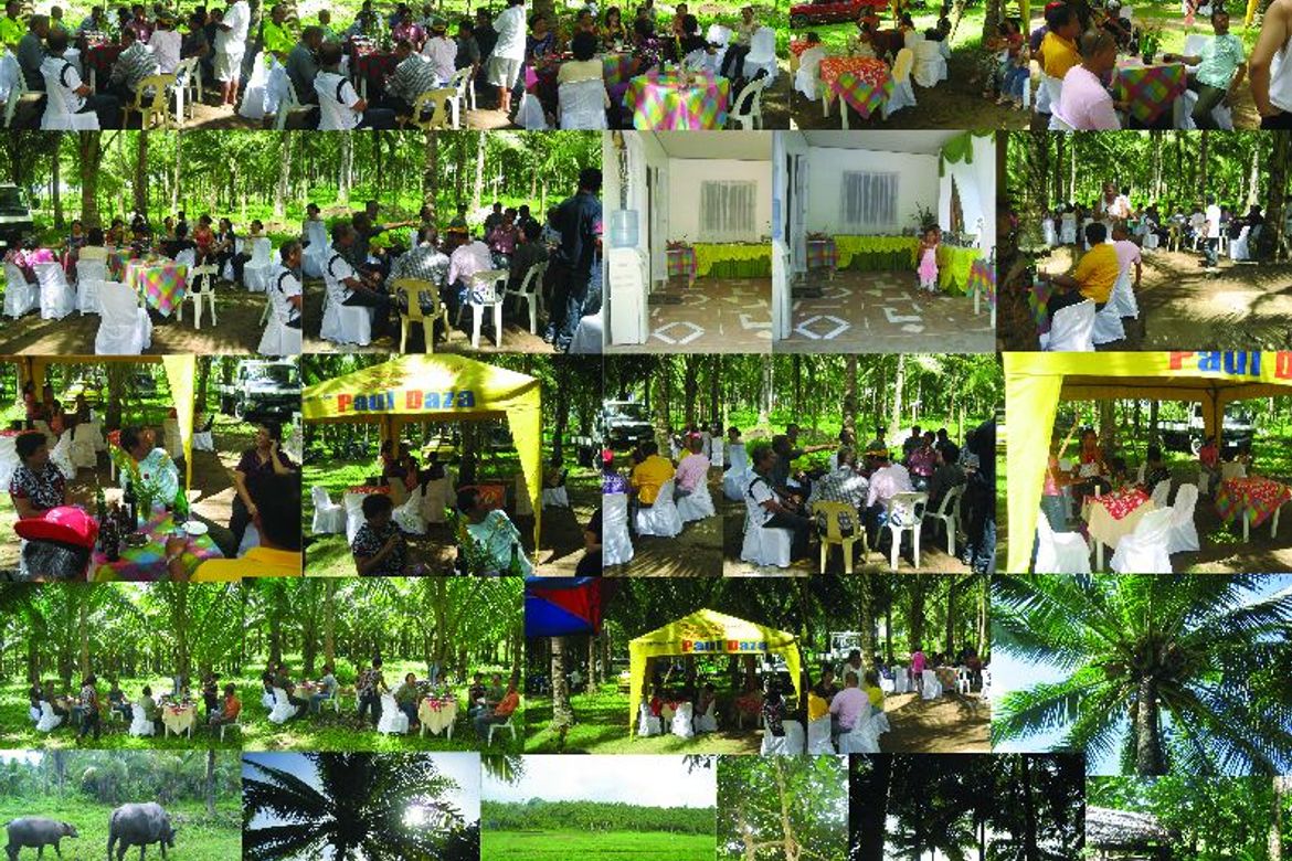 Land for Sale in Zone 1, San Roque, Northern Samar – photo 2