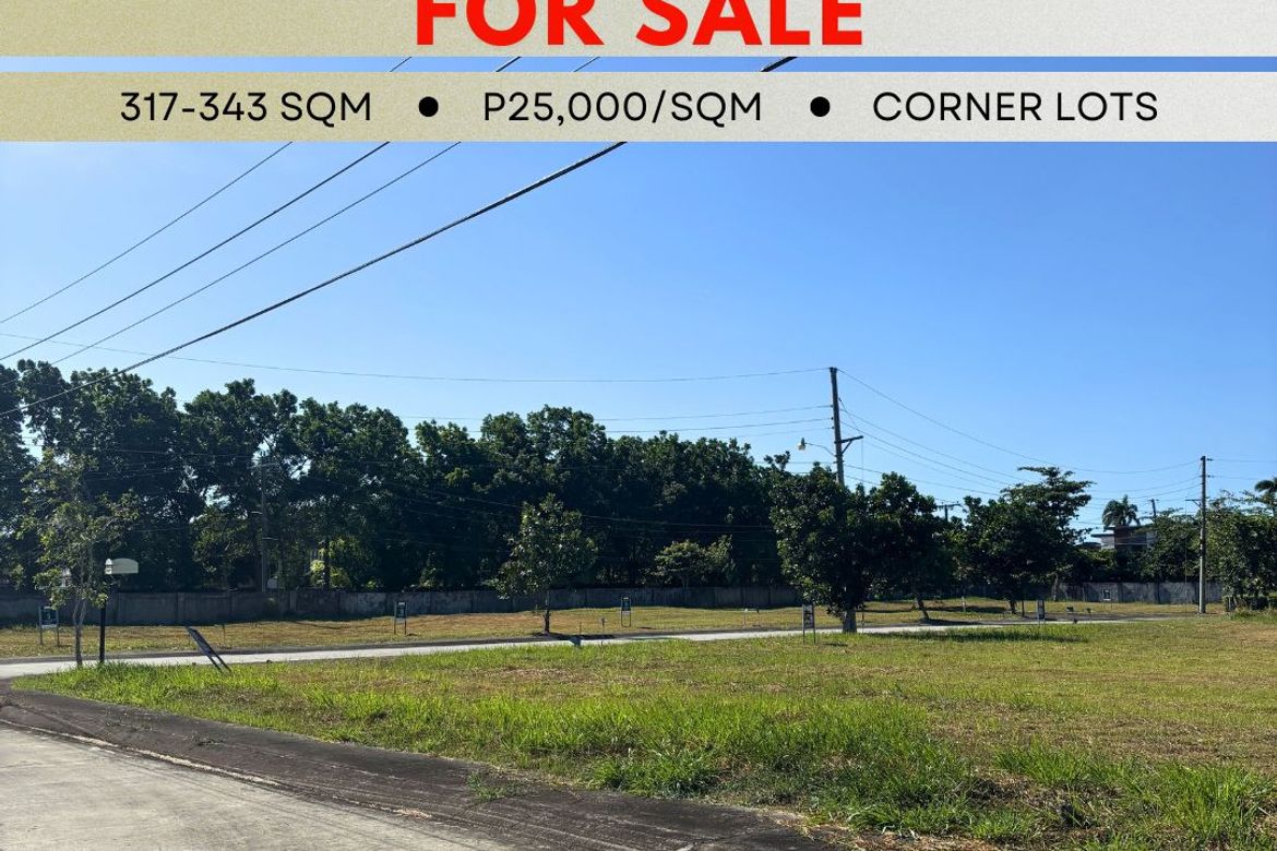 Land for Sale in Zone 15, Talisay, Negros Occidental – photo 3