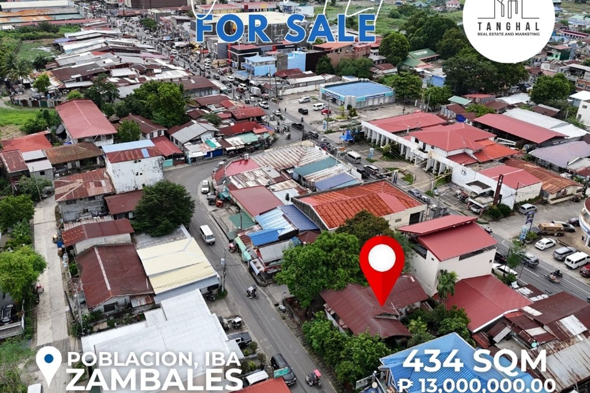 Land for Sale in Zone 4 Poblacion, Iba, Zambales – photo 3