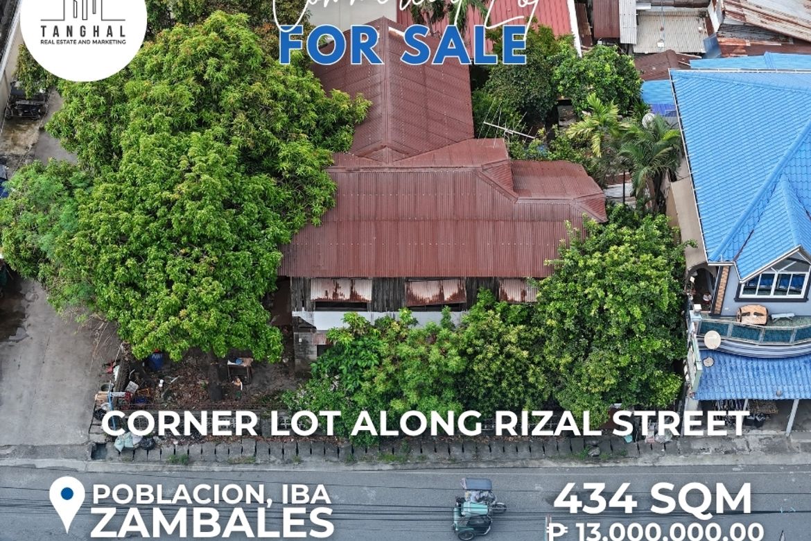 Land for Sale in Zone 4 Poblacion, Iba, Zambales – photo 5