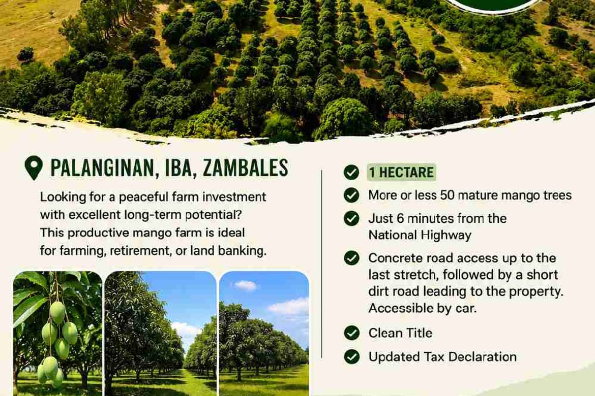 Land for Sale in Zone 5 Poblacion, Iba, Zambales