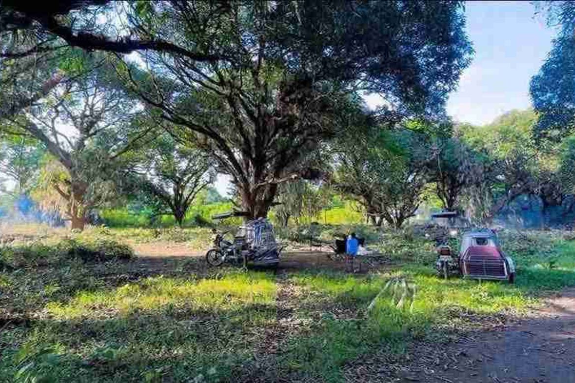 Land for Sale in Zone 5 Poblacion, Iba, Zambales – photo 3