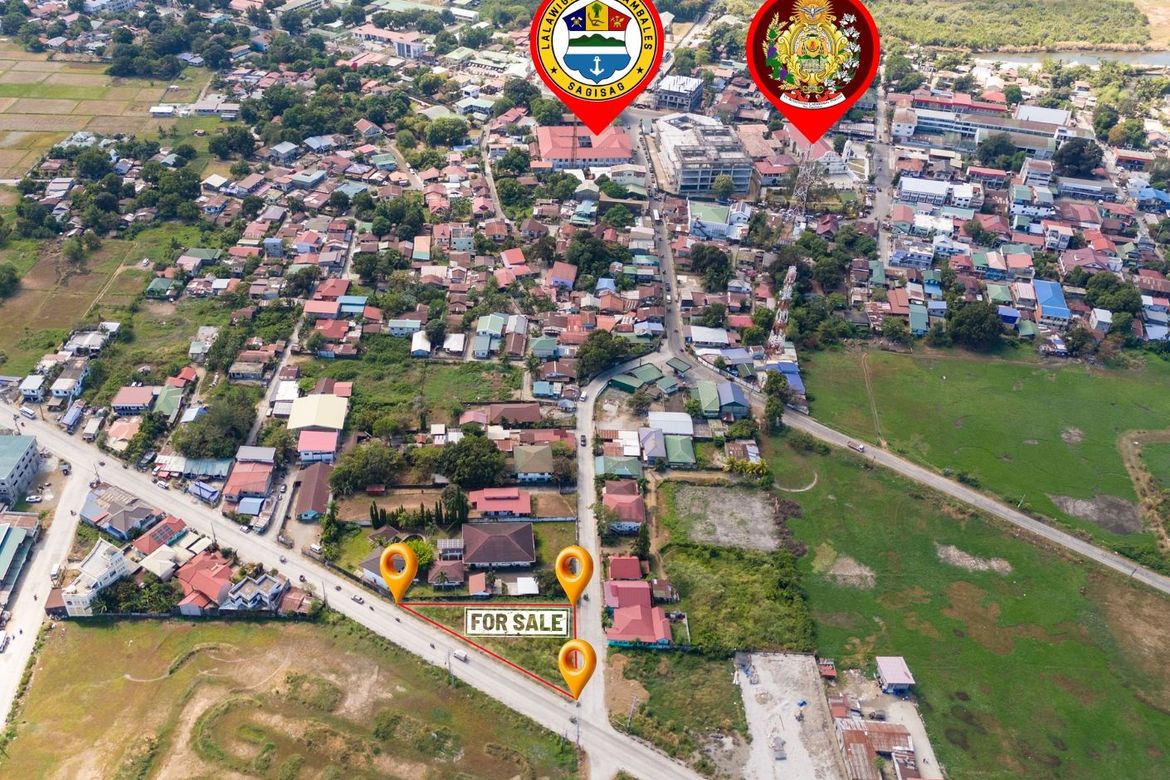 Land for Sale in Zone 5 Poblacion, Iba, Zambales – photo 6