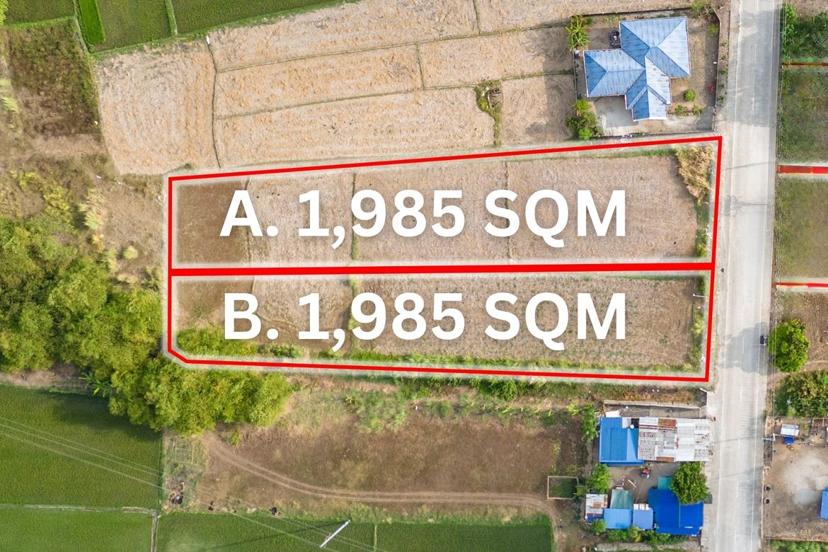 Land for Sale in Zone 6 Poblacion, Iba, Zambales – photo 2