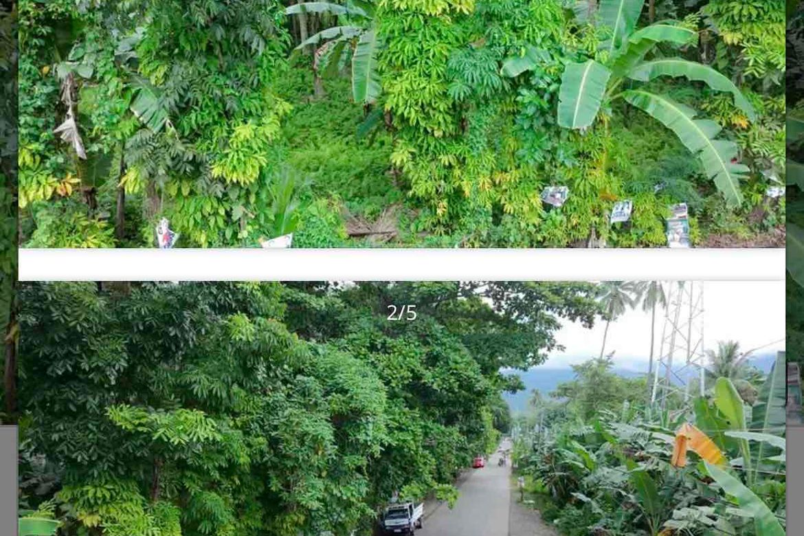 Land for Sale in Zone II, Santa Cruz, Davao del Sur