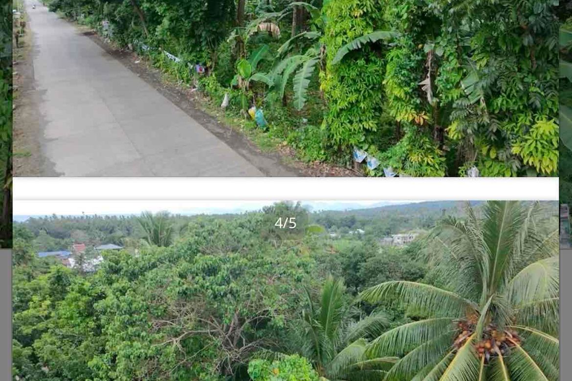 Land for Sale in Zone II, Santa Cruz, Davao del Sur – photo 2
