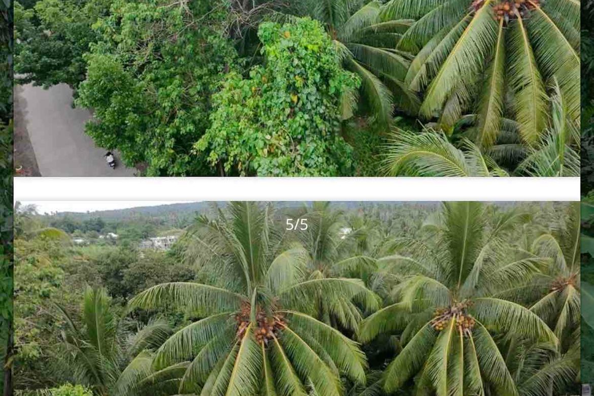 Land for Sale in Zone II, Santa Cruz, Davao del Sur – photo 3