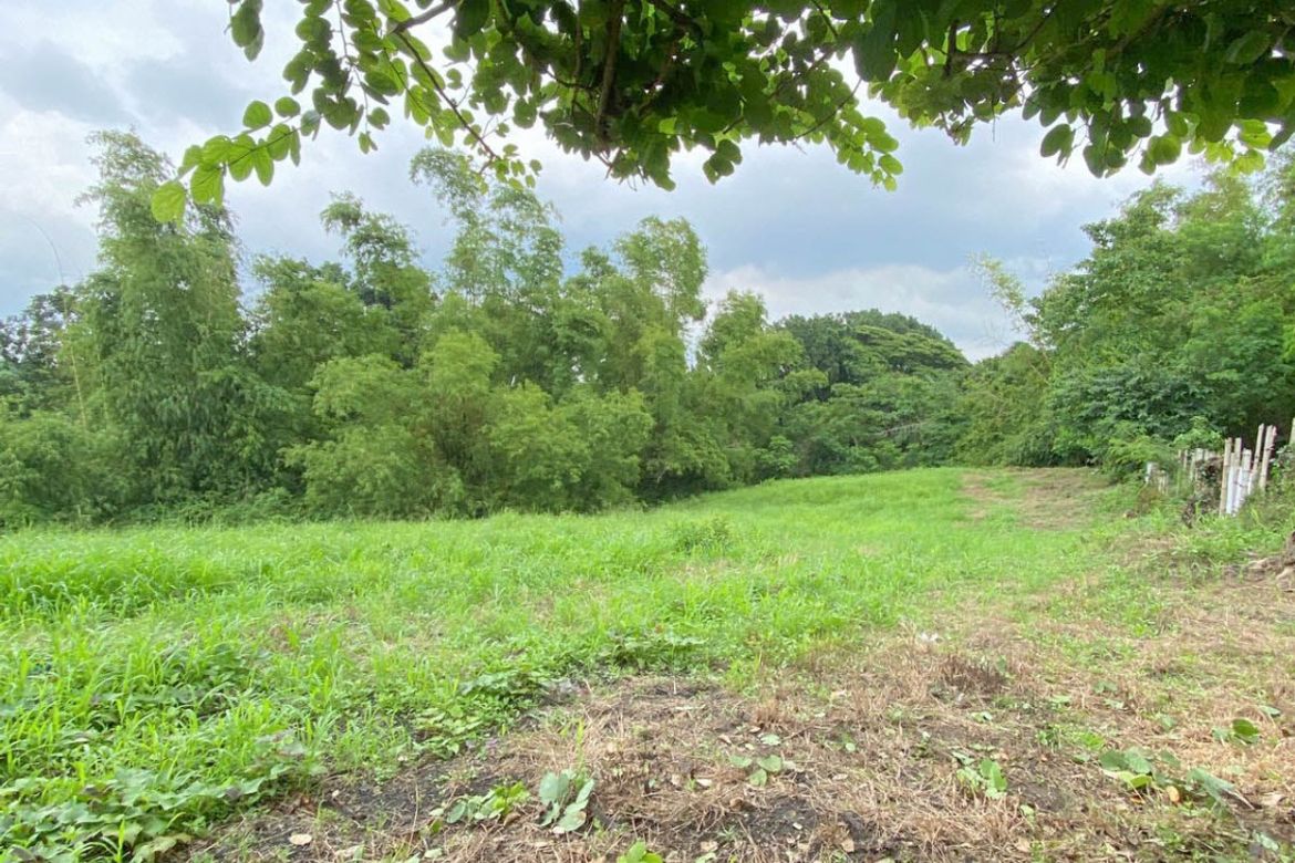 Land for Sale in Zone III, Dasmariñas, Cavite – photo 2