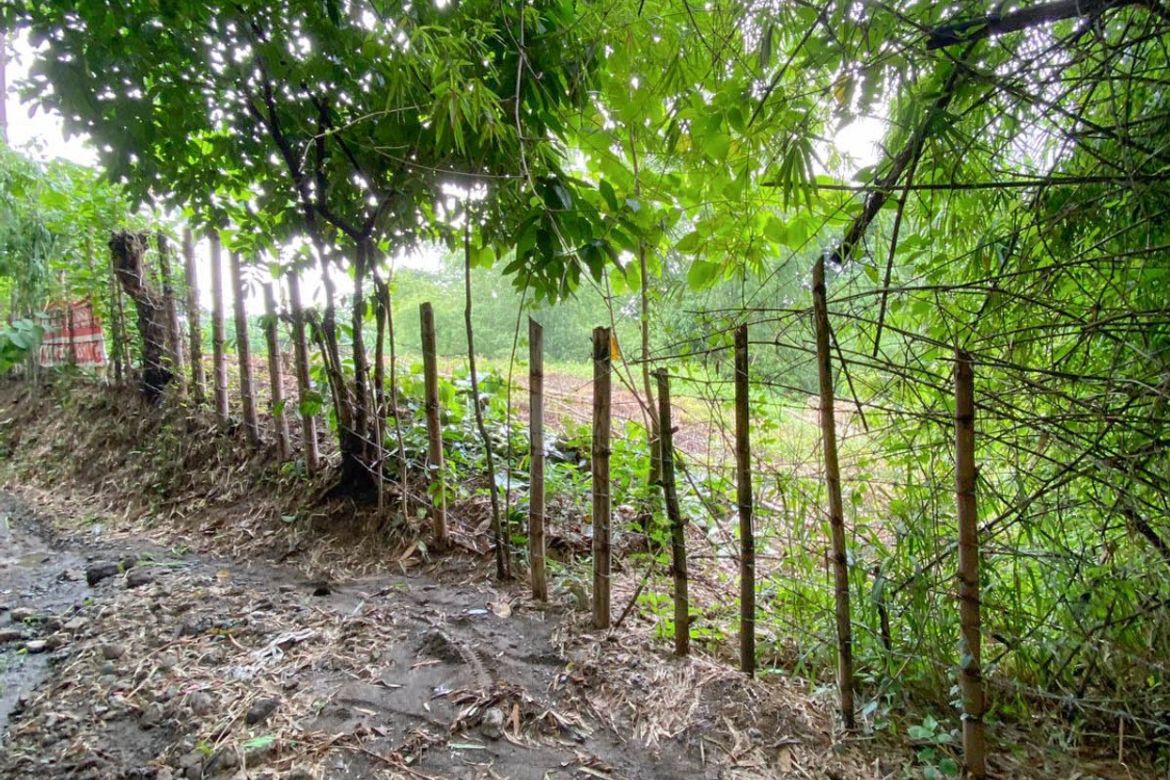 Land for Sale in Zone III, Dasmariñas, Cavite – photo 3