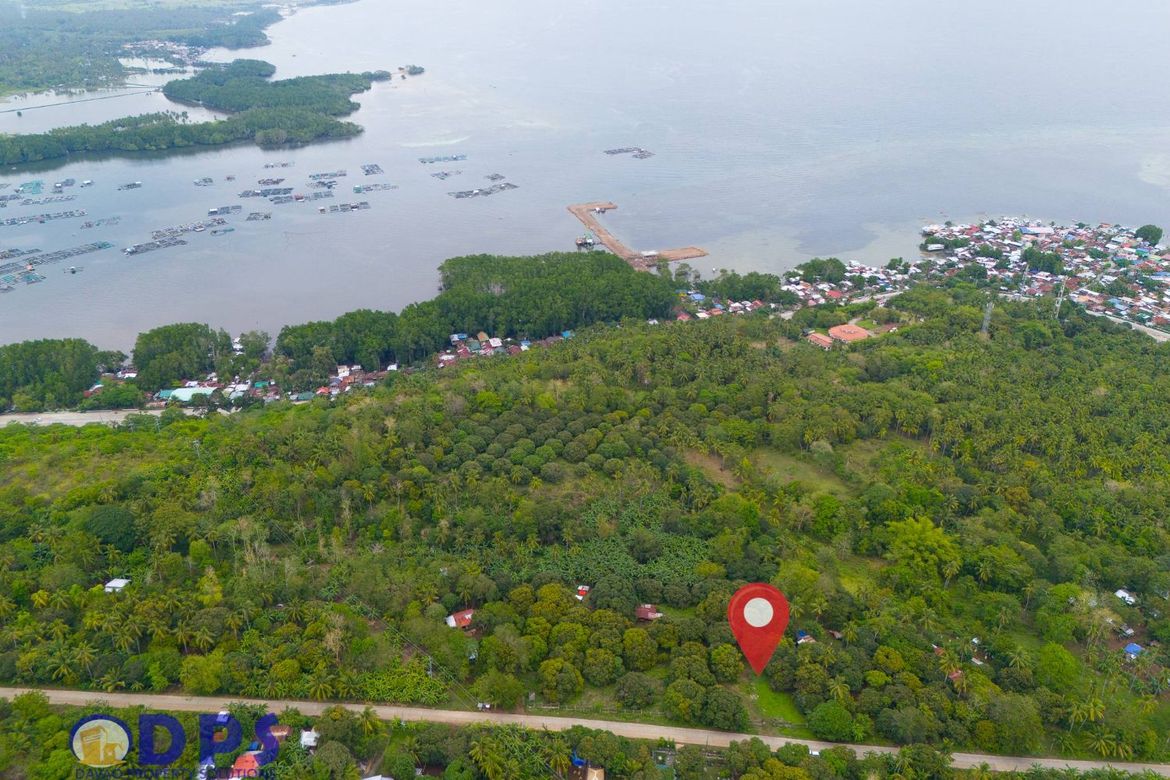 Land for Sale in Zone III, Santa Cruz, Davao del Sur – photo 2