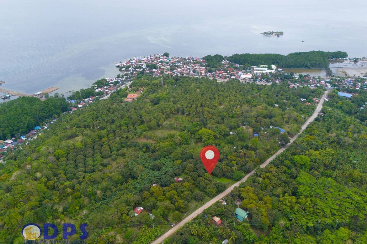 Land for Sale in Zone III, Santa Cruz, Davao del Sur – photo 4