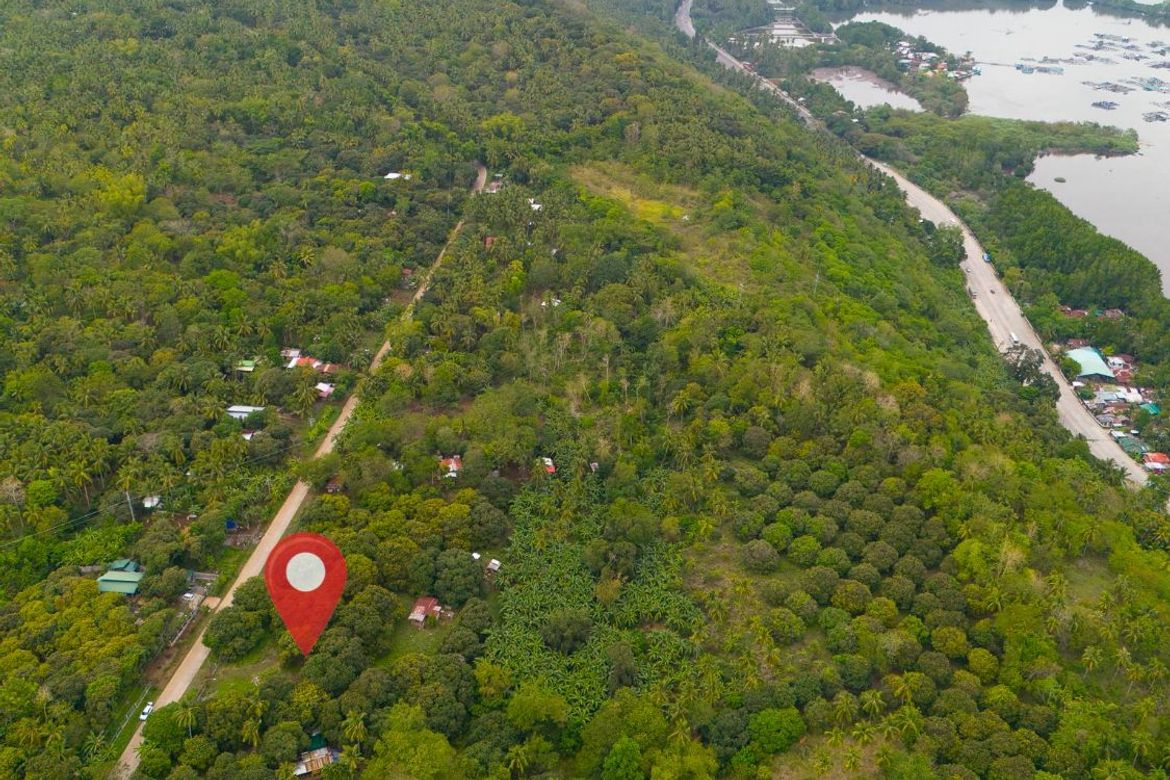 Land for Sale in Zone III, Santa Cruz, Davao del Sur – photo 5