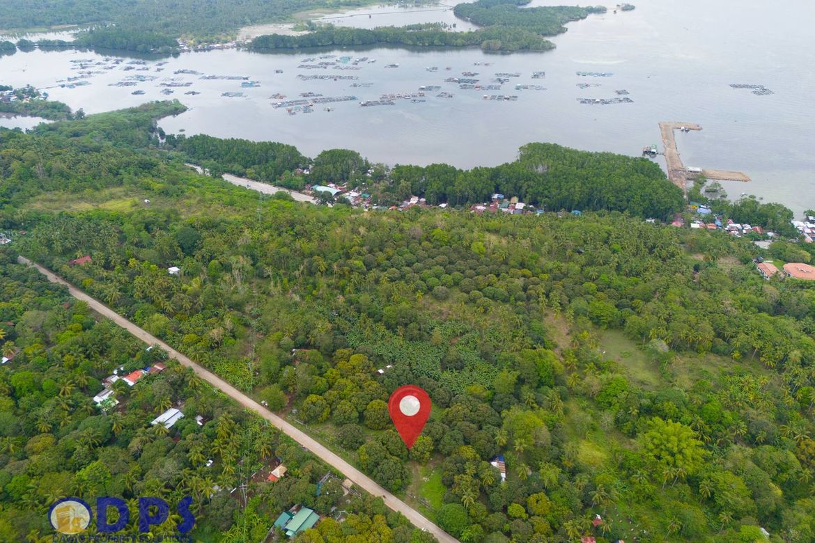 Land for Sale in Zone III, Santa Cruz, Davao del Sur – photo 6