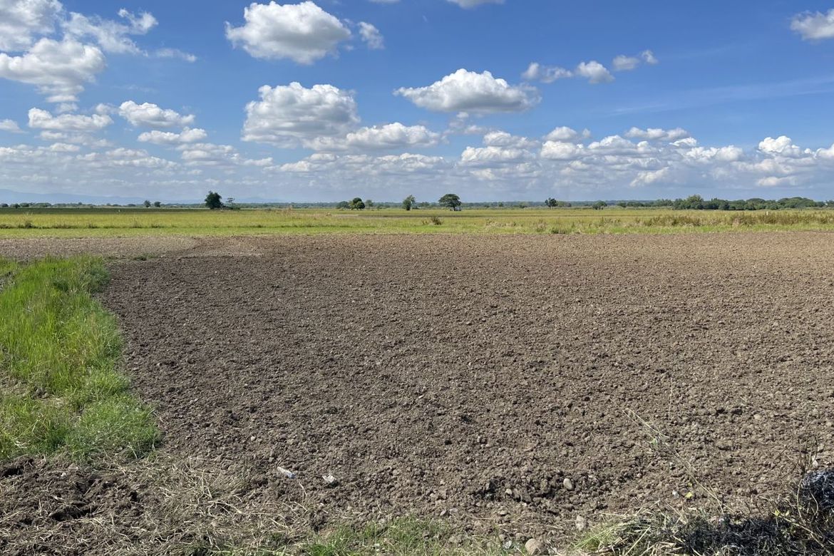 Land for Sale in Zone III, Villasis, Pangasinan