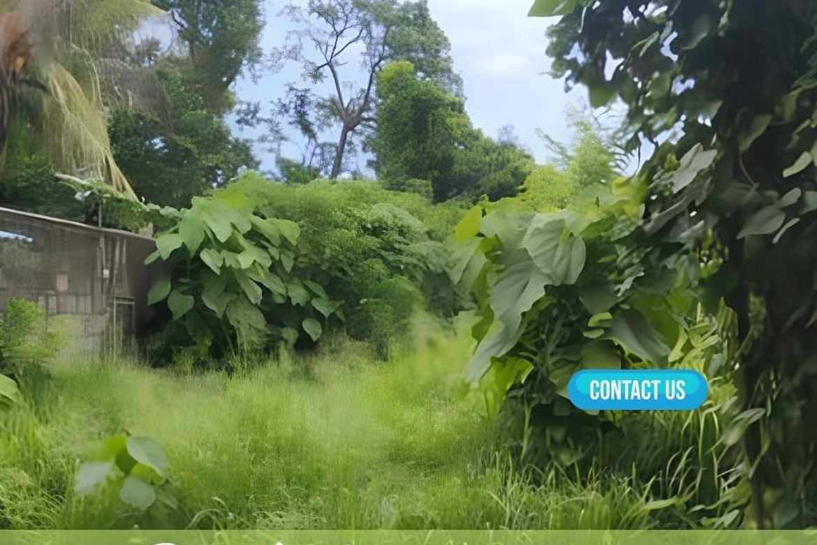 Office for Sale in Villamonte, Bacolod, Negros Occidental – photo 3