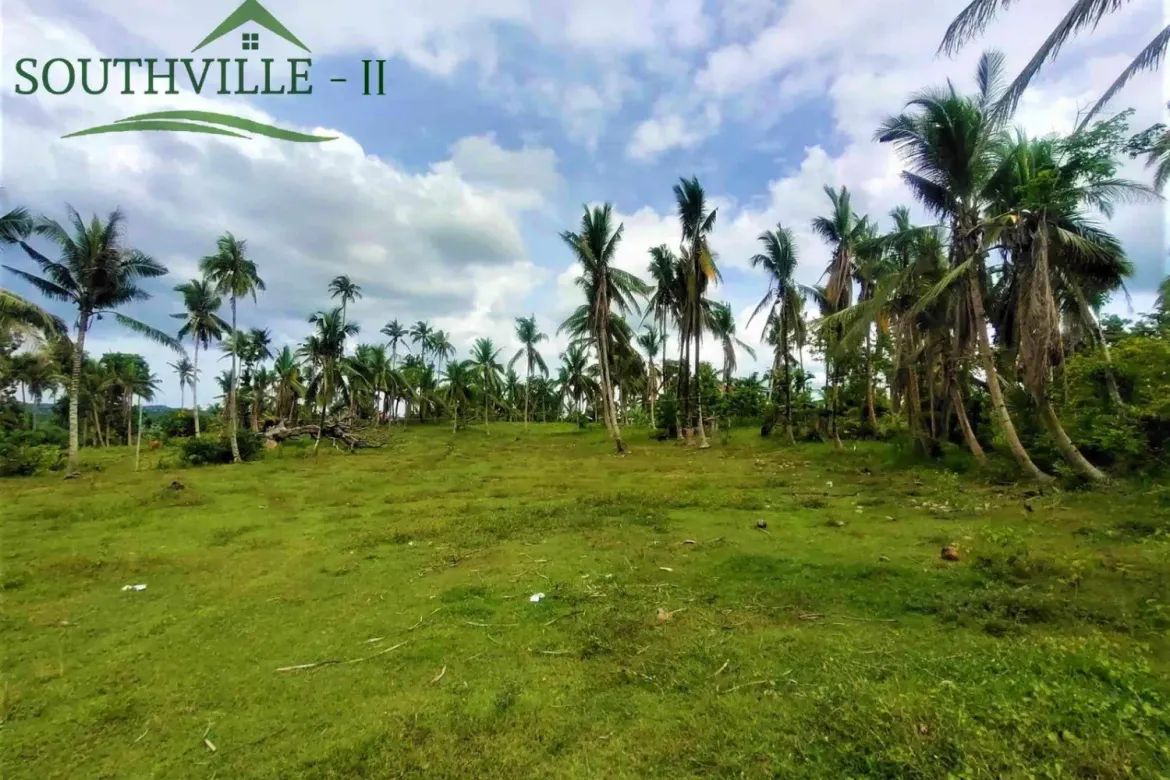 Townhouse for Sale in Kawasan, Aloguinsan, Cebu – photo 5