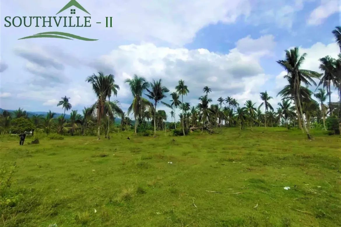 Townhouse for Sale in Kawasan, Aloguinsan, Cebu – photo 6